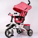 W&P 4-in-1 Kids Tricycle,Stroller Trike with Detachable Shade umbrella