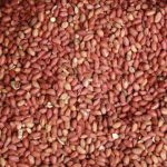 groundnut red