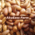 FB_IMG_1746336992482