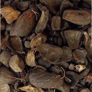 Palm Kernel Shells